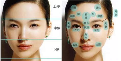 女人鼻型面相 十二地支 方位
